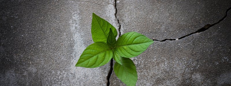 Resilience in a Time of Uncertainty